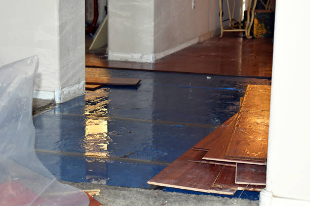 Professional Flood Damage Repair technician working in Elberta, MI